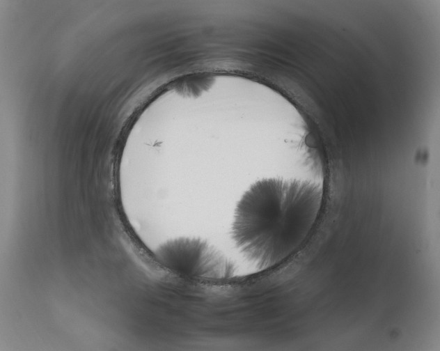 X0000111501031200908251045