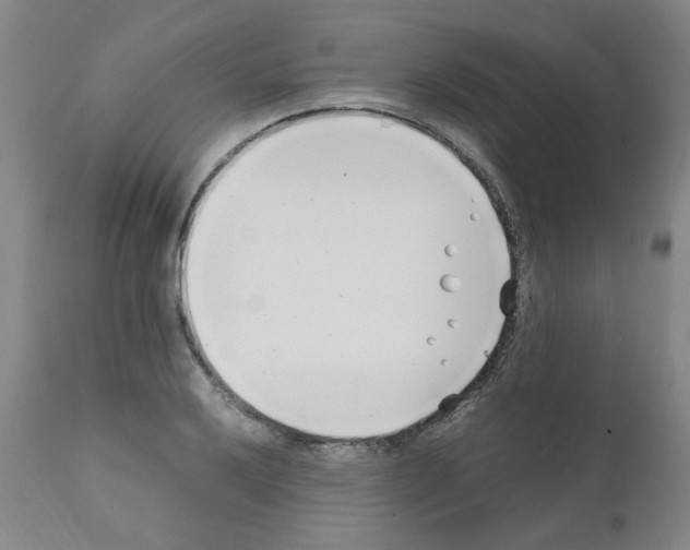 X0000111501032200908251045