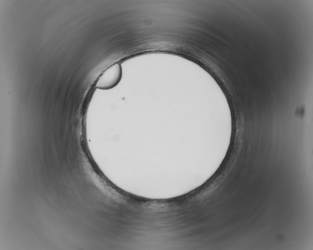 X0000111501034200908251045