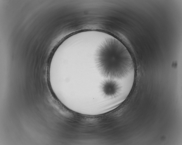 X0000111501035200908251045