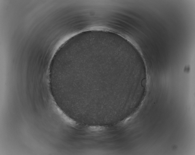 X0000111501037200908251045