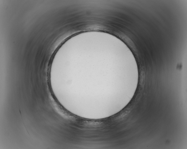 X0000111501039200908251045