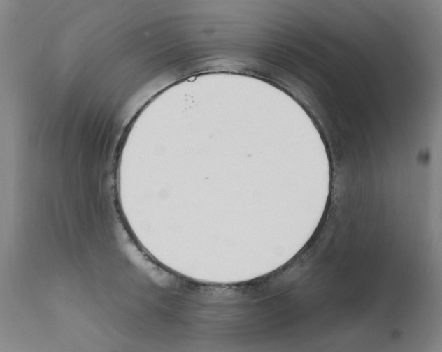 X0000111501042200908251045