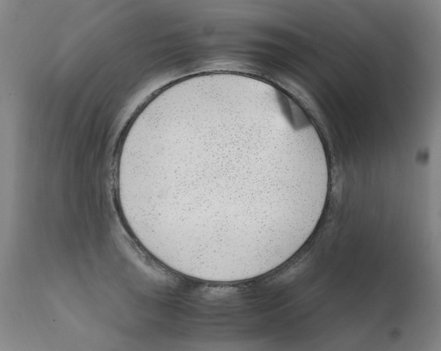 X0000111501043200908251045