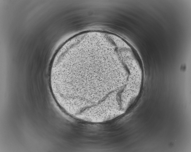 X0000111501045200908251045