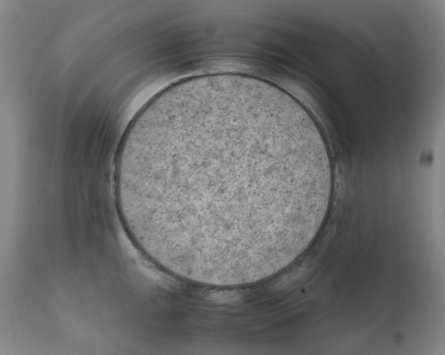 X0000111501047200908251045