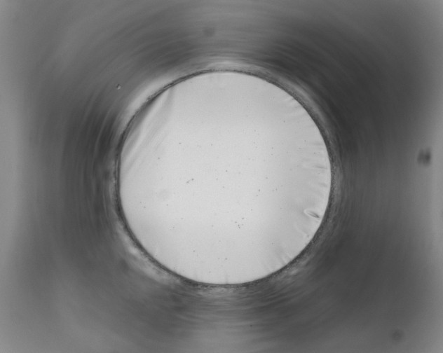 X0000111501048200908251045