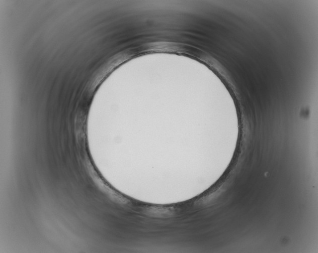 X0000111501049200908251045