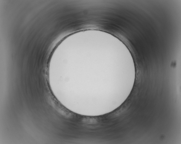 X0000111501051200908251045