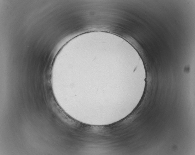 X0000111501052200908251045