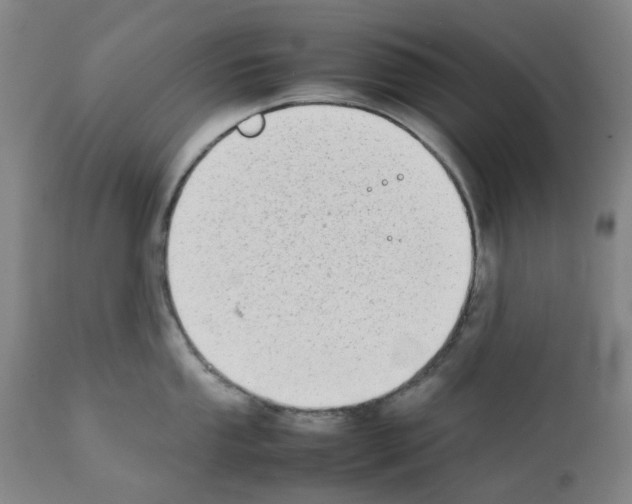 X0000111501053200908251045