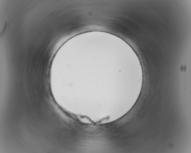 X0000111501056200908251045