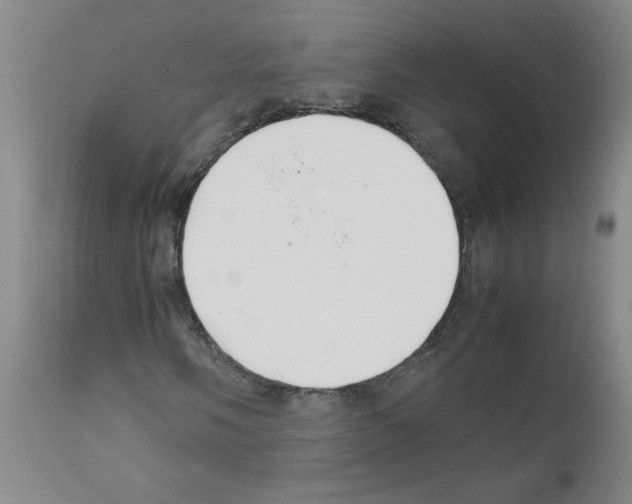 X0000111501058200908251044