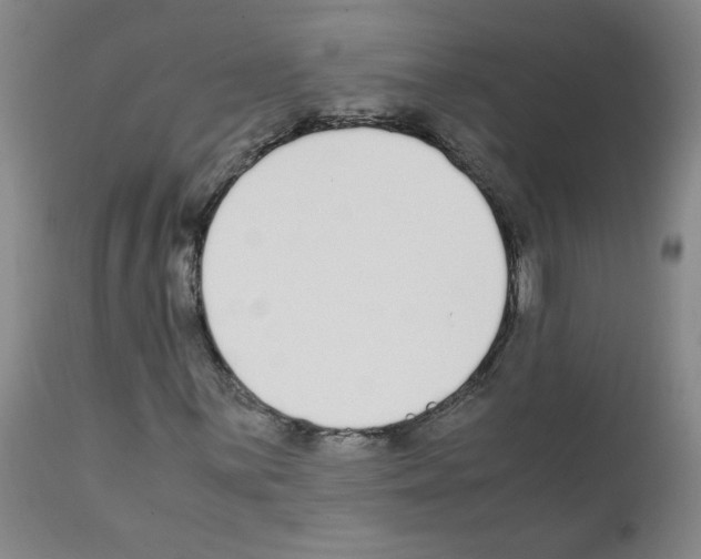 X0000111501059200908251044