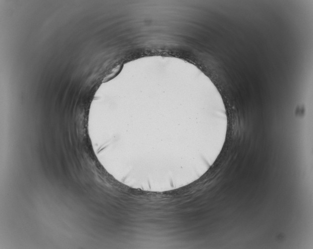 X0000111501060200908251044