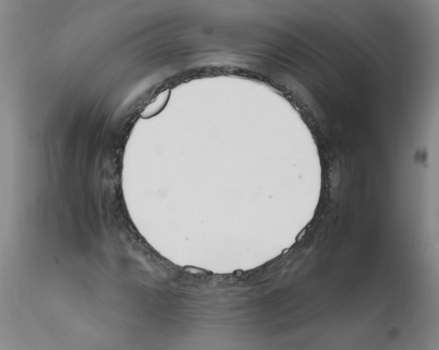 X0000111501064200908251044