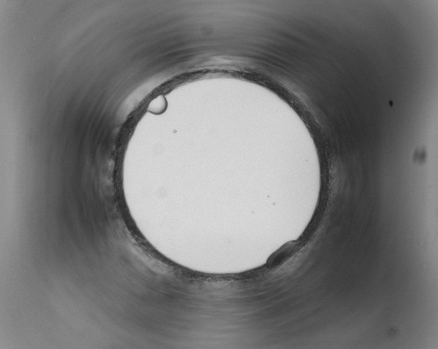 X0000111501066200908251044