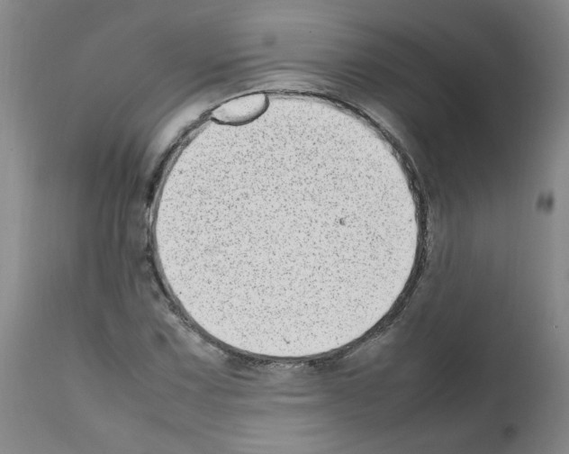 X0000111501067200908251044