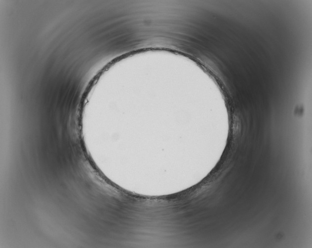 X0000111501068200908251044