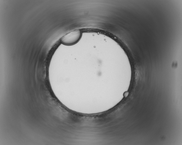 X0000111501069200908251044