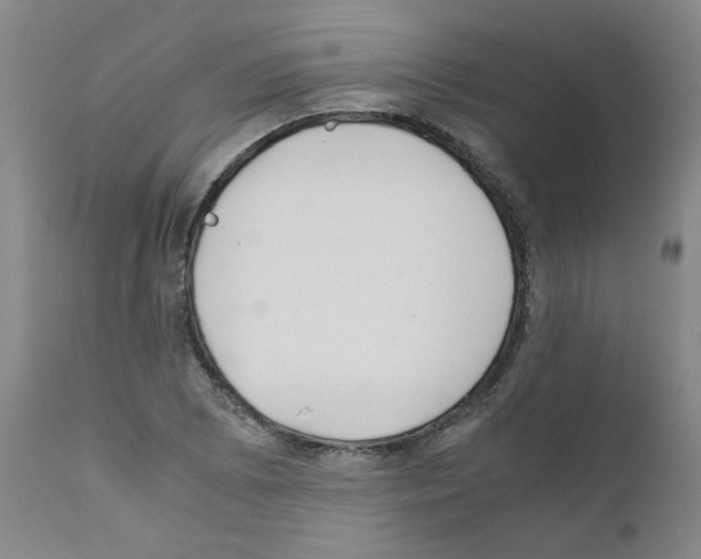 X0000111501073200908251044