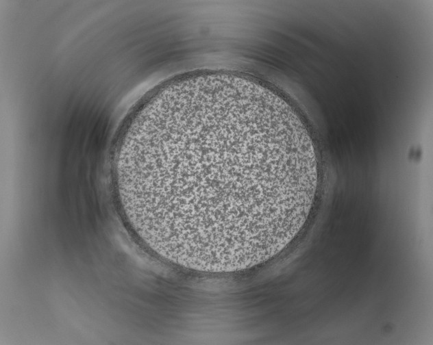 X0000111501074200908251044