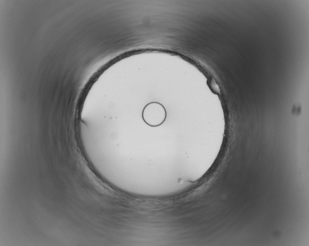 X0000111501077200908251044