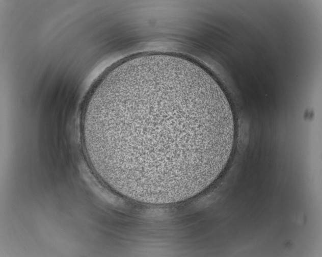 X0000111501078200908251044