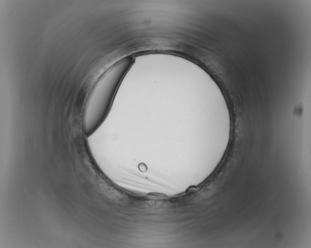 X0000111501081200908251044