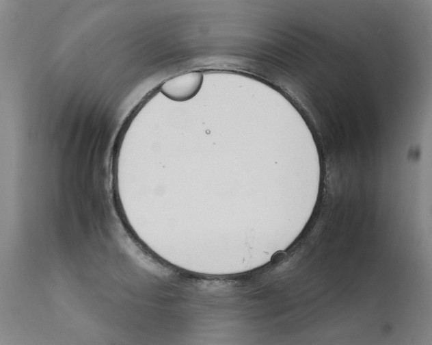 X0000111501082200908251044