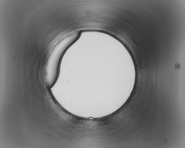 X0000111501085200908251044