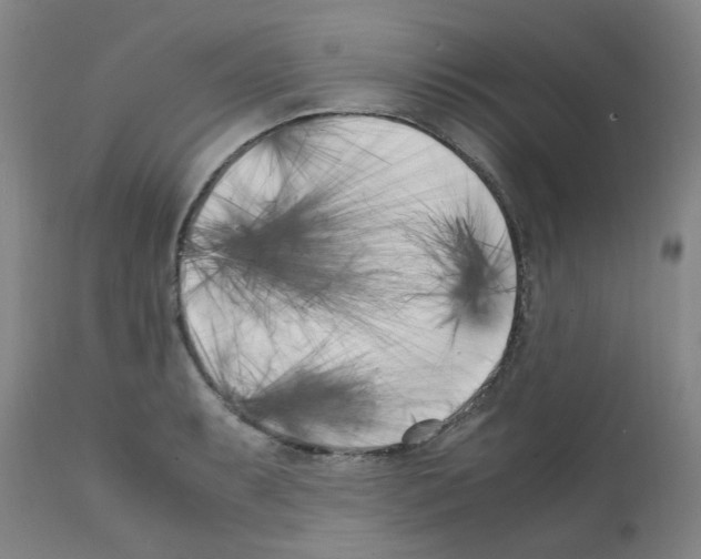 X0000111501087200908251044