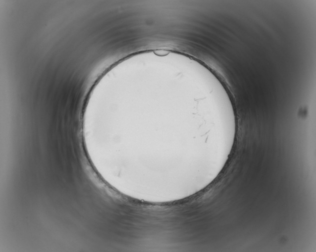 X0000111501088200908251044