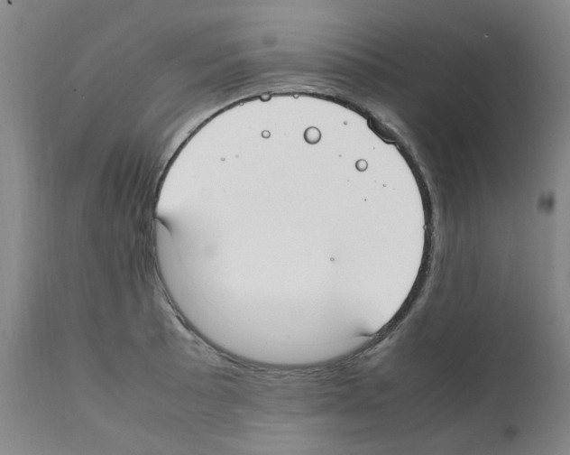 X0000111501089200908251044