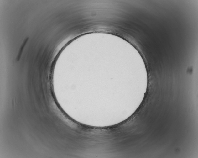 X0000111501091200908251044