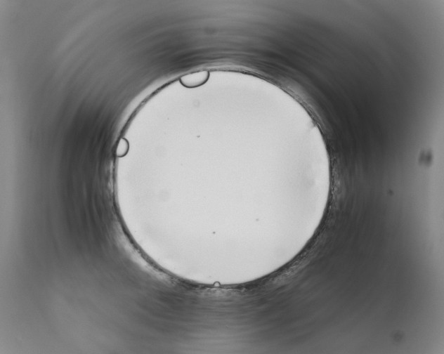 X0000111501092200908251044