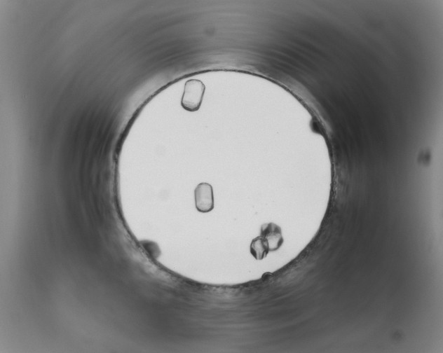 X0000111501096200908251044