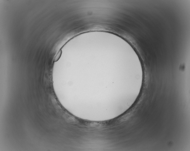 X0000111501097200908251044