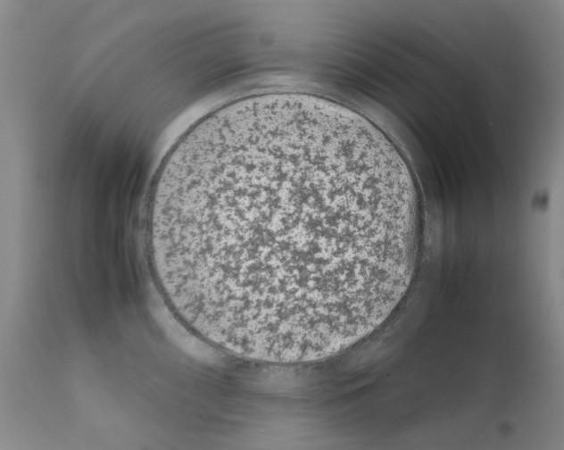 X0000111501098200908251044