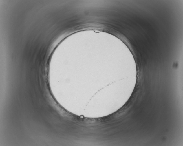 X0000111501099200908251044