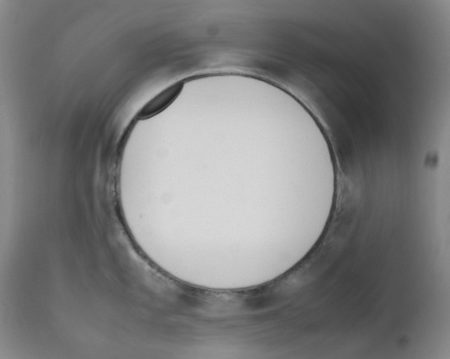 X0000111501101200908251044