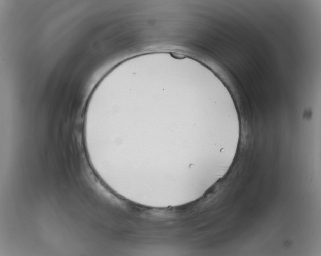 X0000111501102200908251044