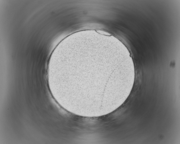 X0000111501103200908251044