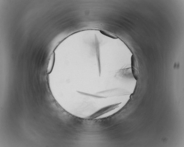 X0000111501104200908251044