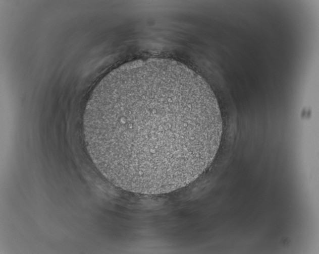 X0000111501105200908251043