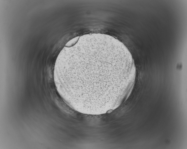 X0000111501106200908251043