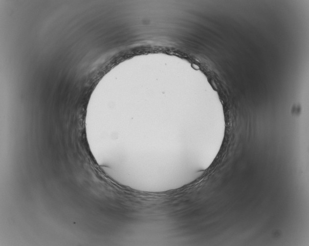 X0000111501110200908251043