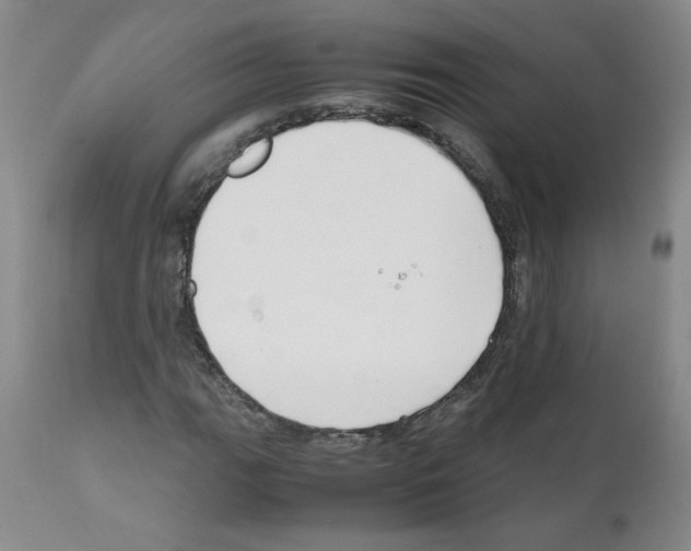 X0000111501111200908251043