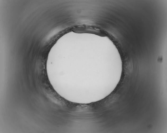 X0000111501112200908251043