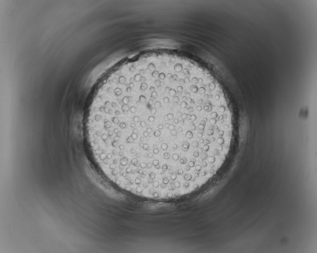 X0000111501113200908251043